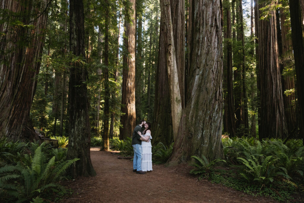 A couple embracing in a lush forest of towering redwood trees, surrounded by ferns and sunlight filtering through the canopy.