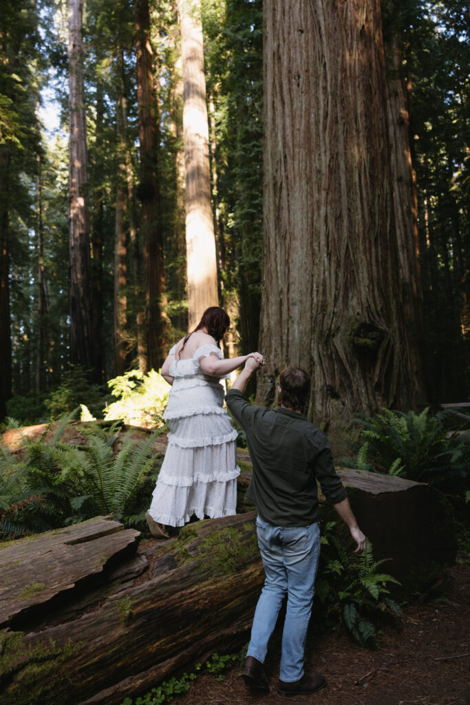 A couple explores a scenic path in Redwoods National Park, with the woman helping to climb over a fallen log, surrounded by towering trees and lush ferns.