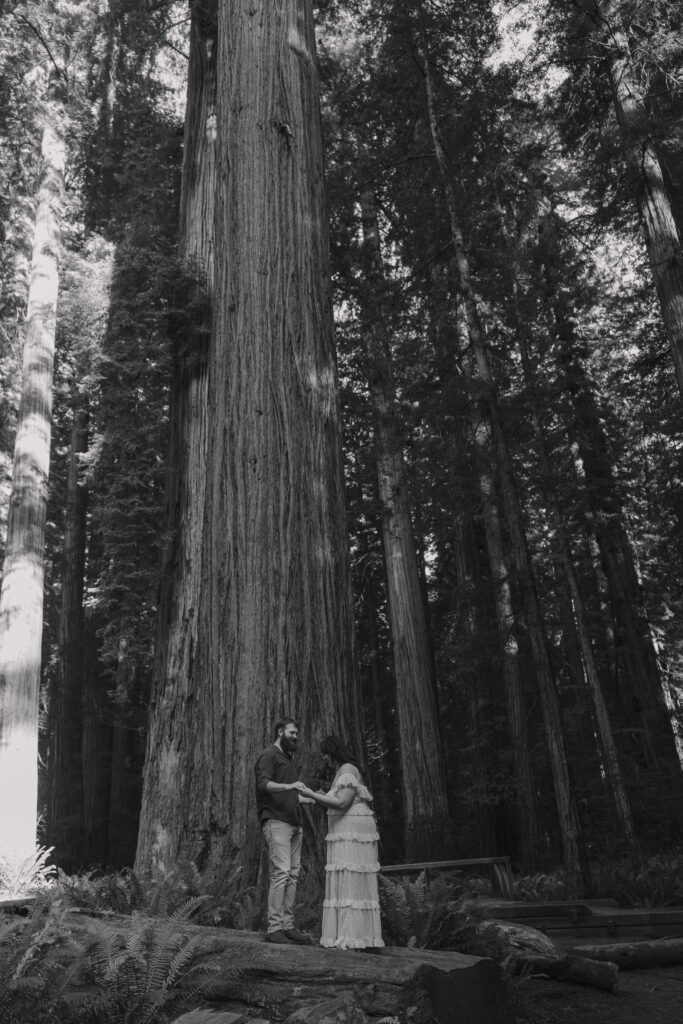 A couple stands on a rocky surface in a forest of towering redwood trees, holding hands and looking at each other affectionately, captured in a monochrome photograph.