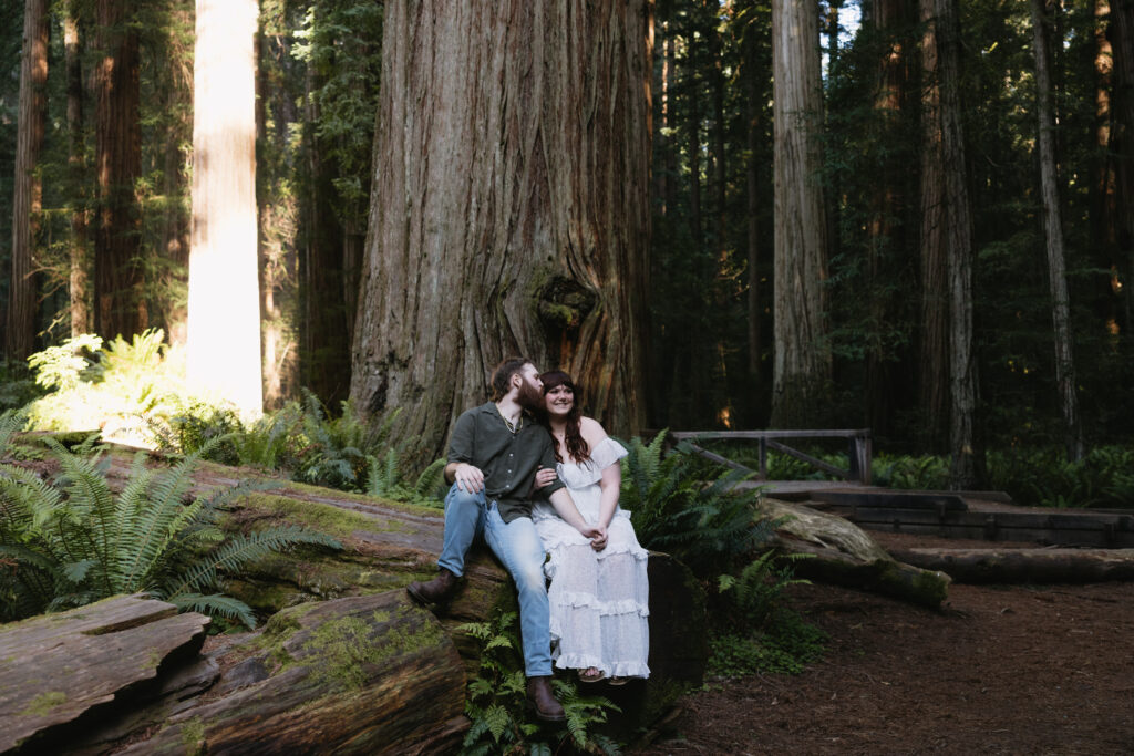 A couple sitting on a log in a Redwood forest, surrounded by tall trees and ferns, sharing a tender moment.